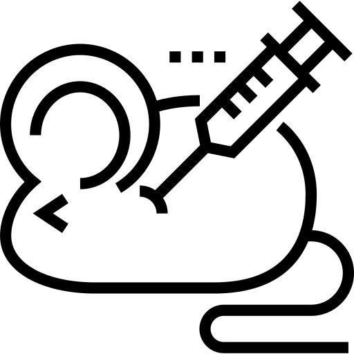 动物测验
