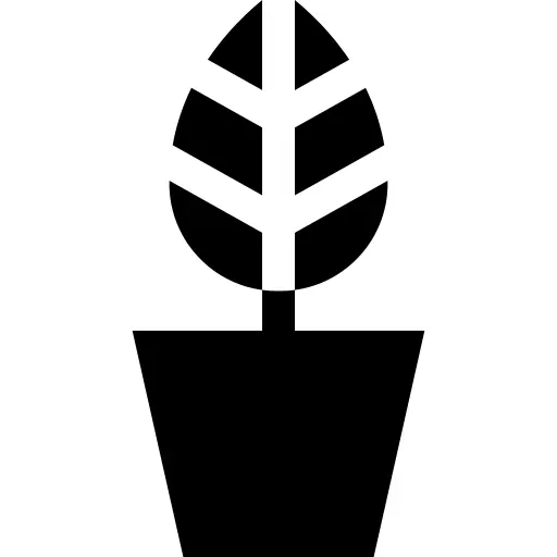 Pot