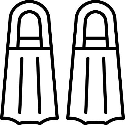 Fins