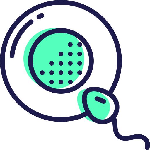 Spermatozoon