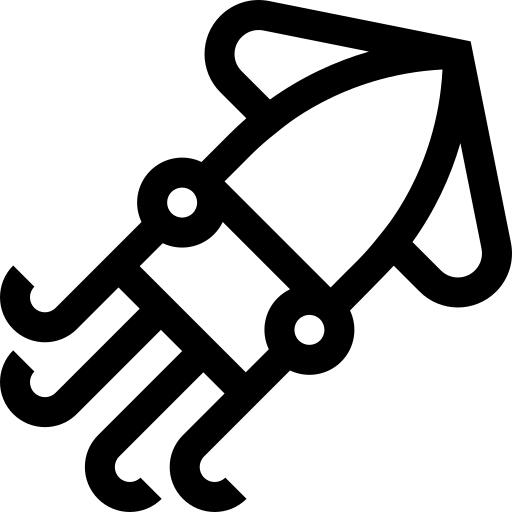 Squid