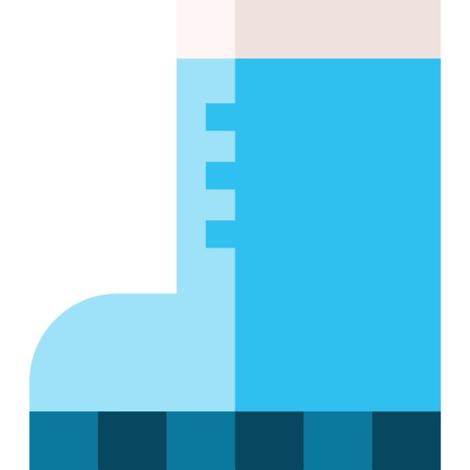 Water boots