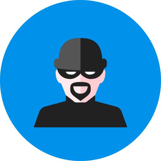 Burglar