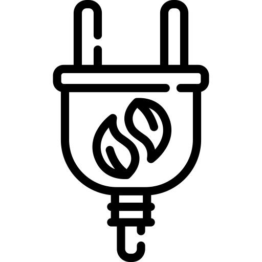 Plug