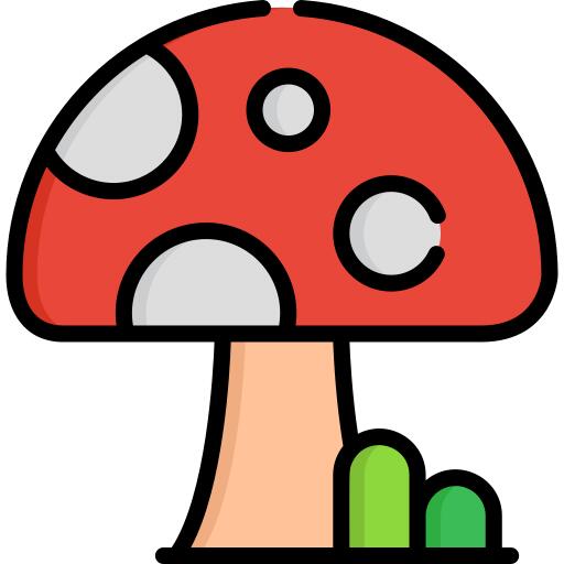 蘑菇