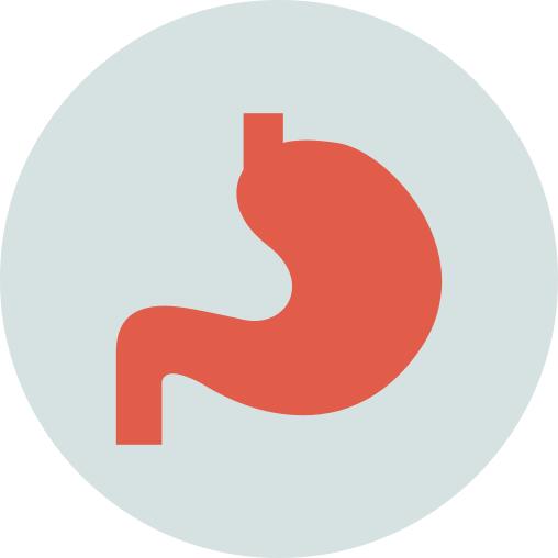 Stomach