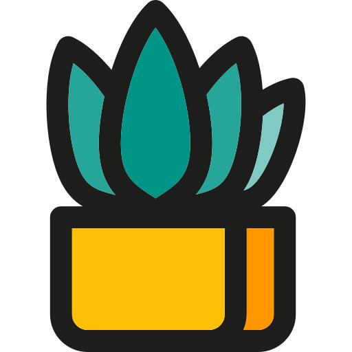 芦荟