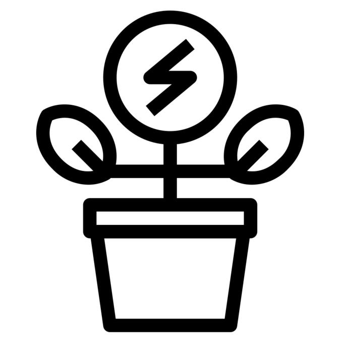 Plant