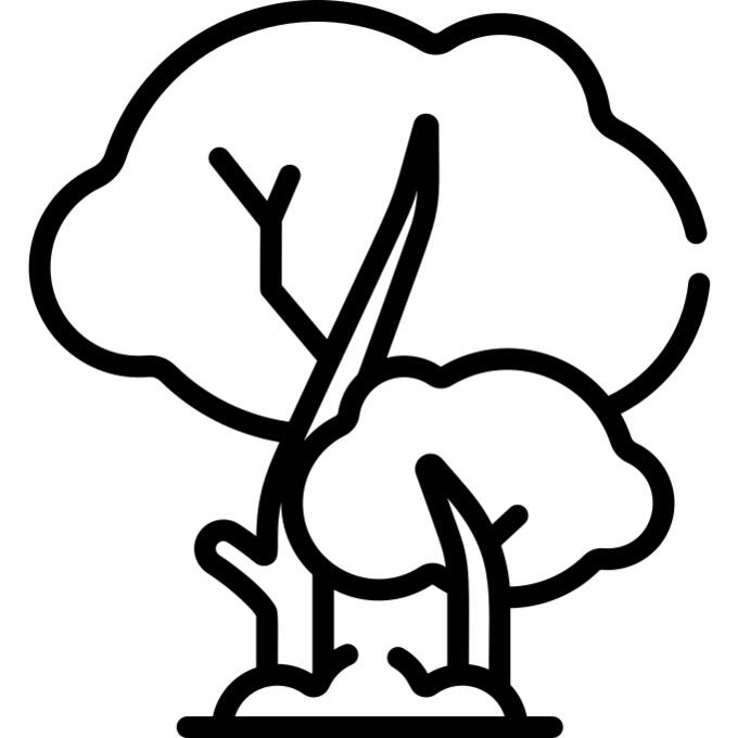 树