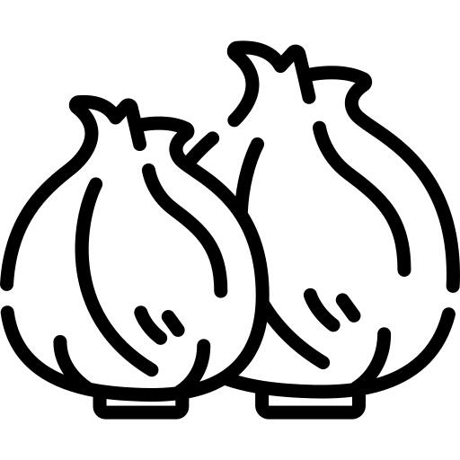 Onion