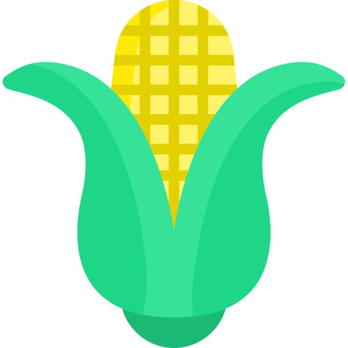 玉米