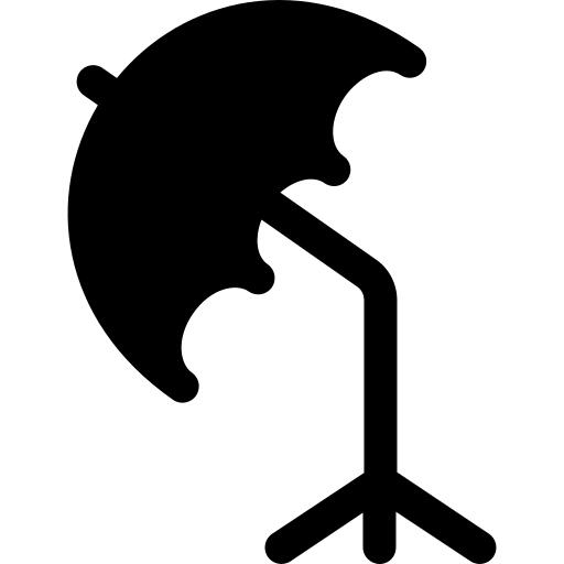 Umbrella