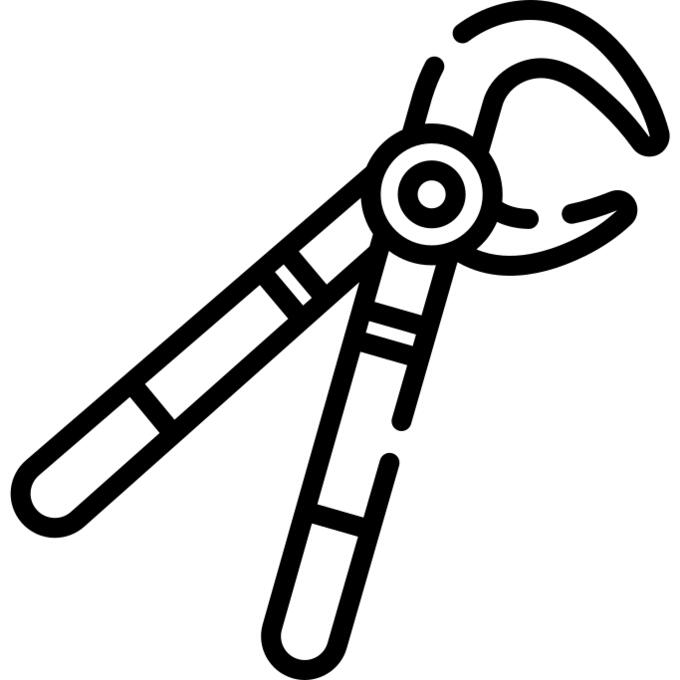 Forceps