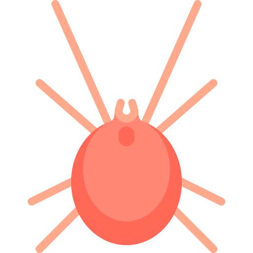 Mite