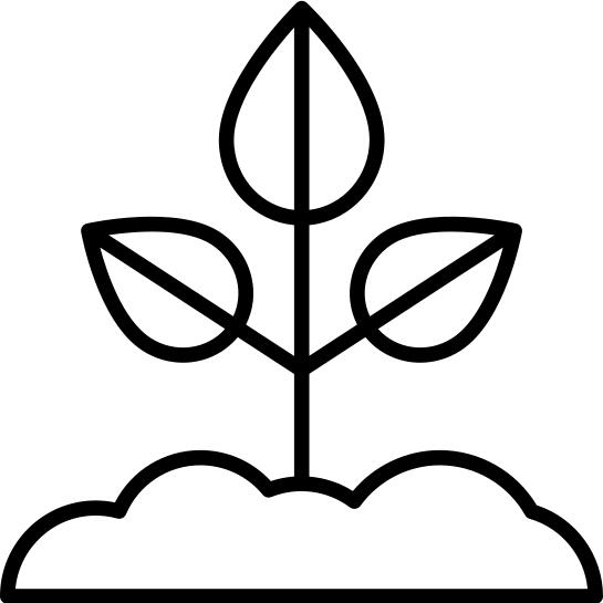 Sprout
