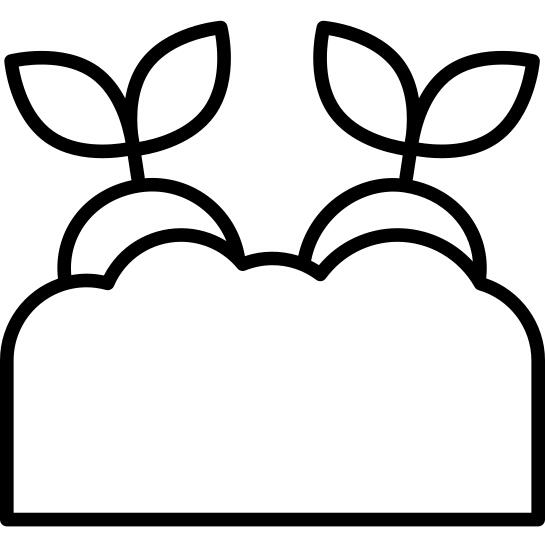 Sprout
