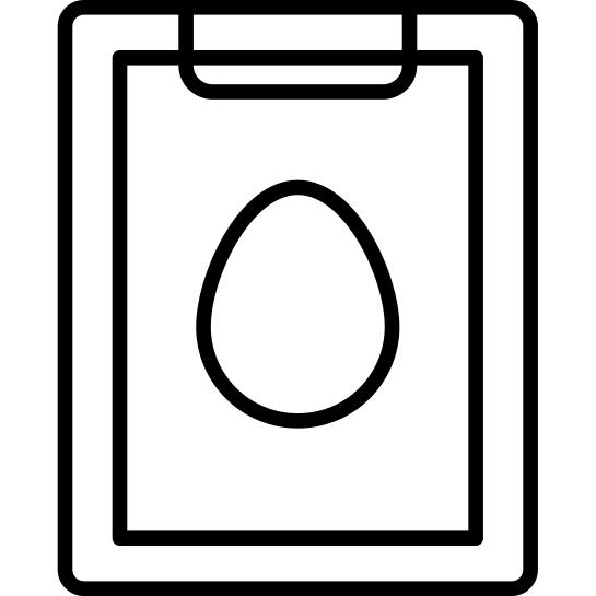 Egg