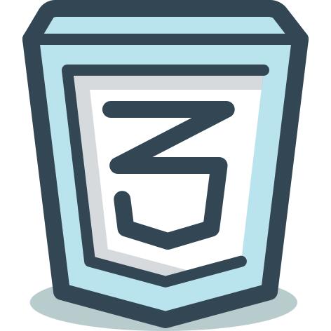 CSS