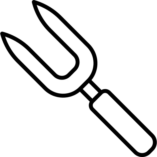 Fork