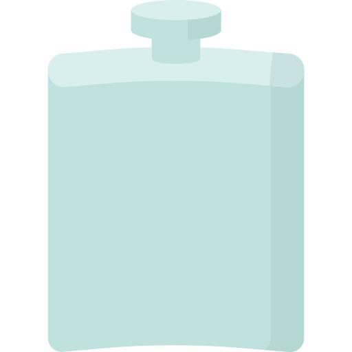 Hip flask