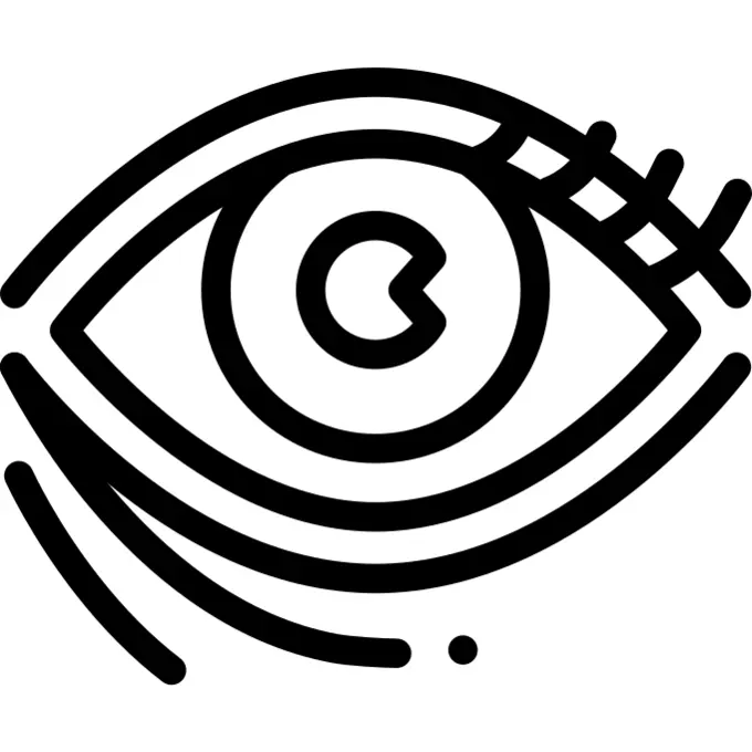 眼睛