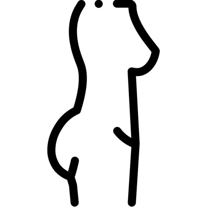 屁股