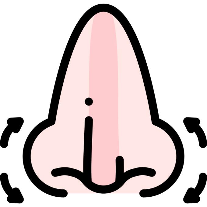 鼻子