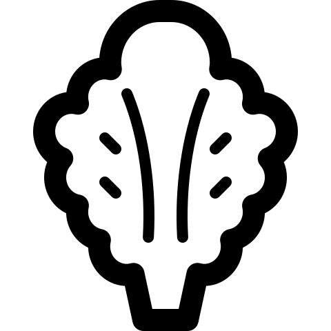 生菜