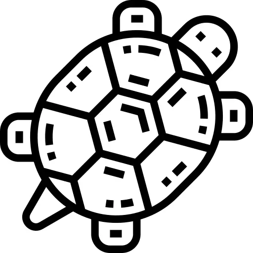 Tortoise