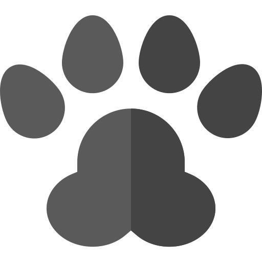 Footprint