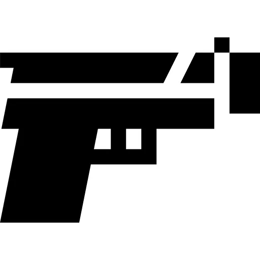 Gun