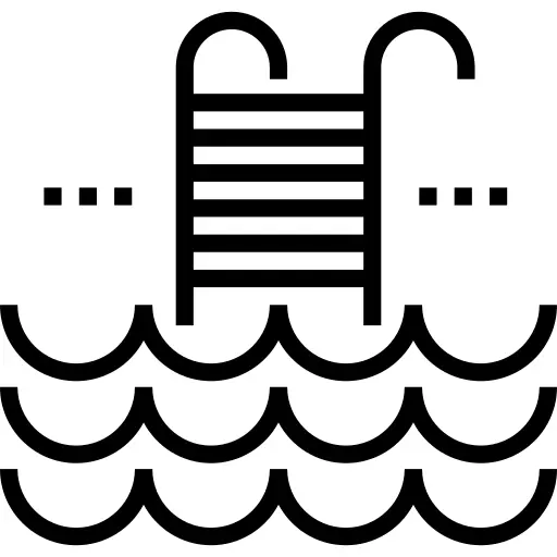 Step ladder