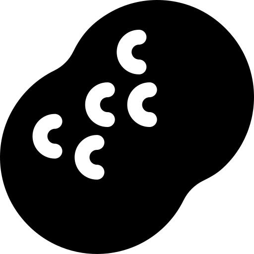 Potato