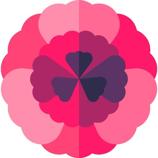 Carnation