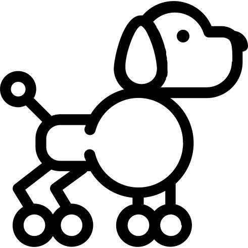 贵宾犬