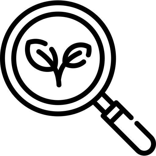 Search