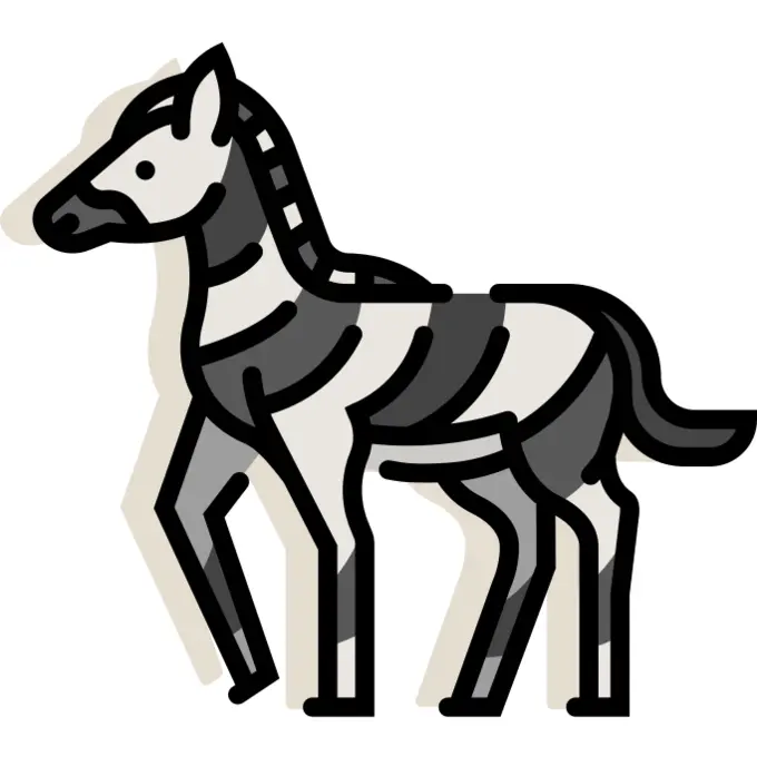 Zebra