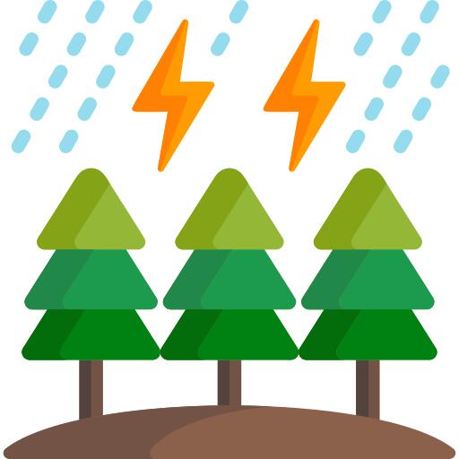 Storm