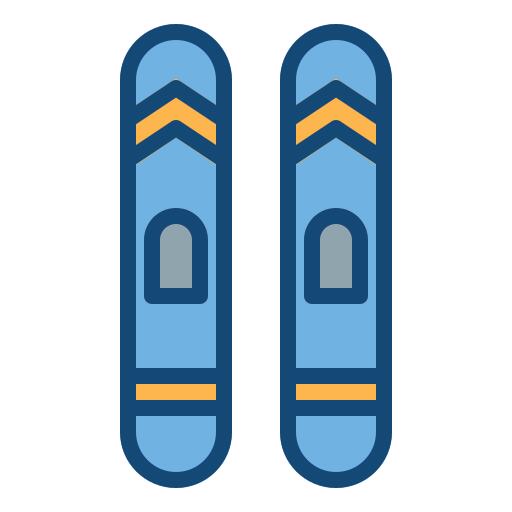 Skis