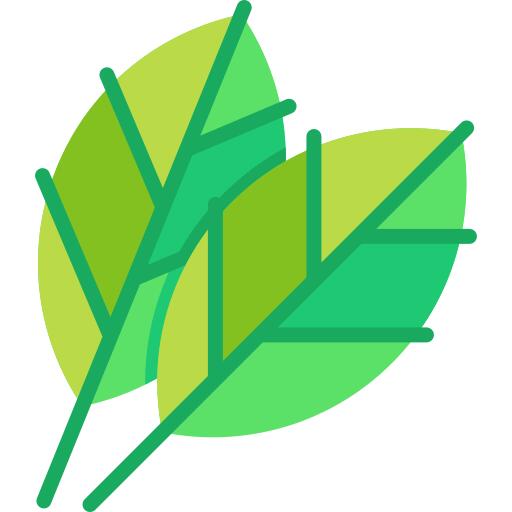Leaf