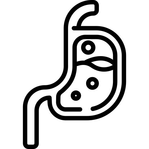 Stomach