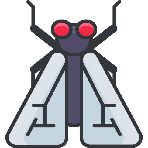 Fly