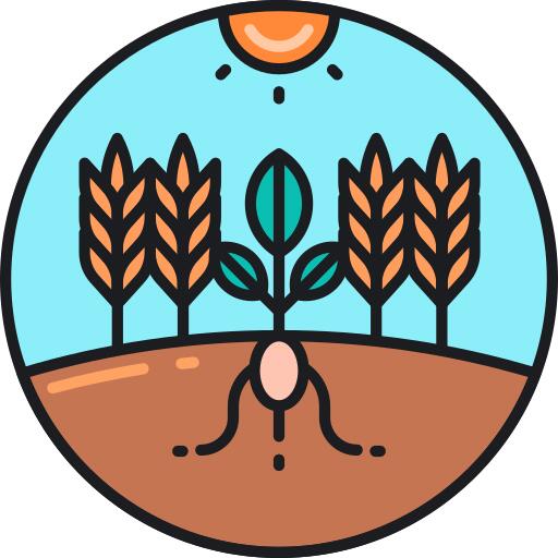 Soil