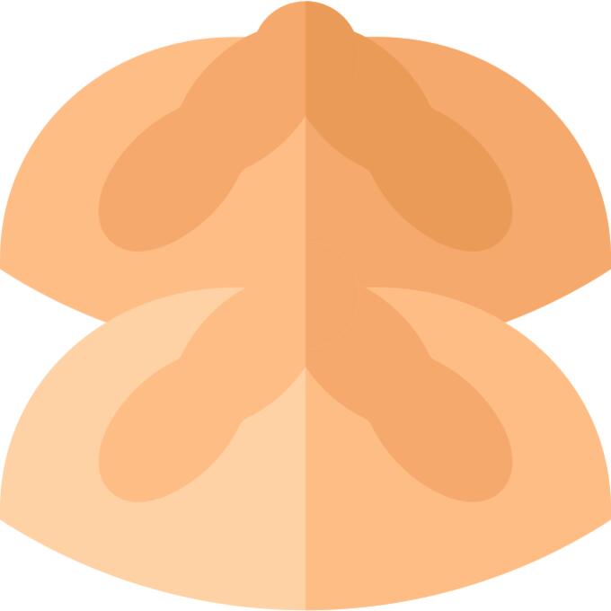 Bread of the dead