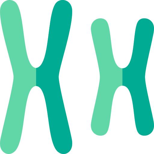 Chromosome