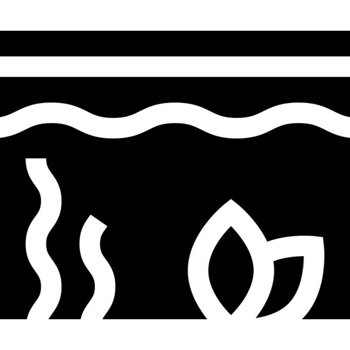 Aquarium