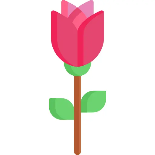 玫瑰