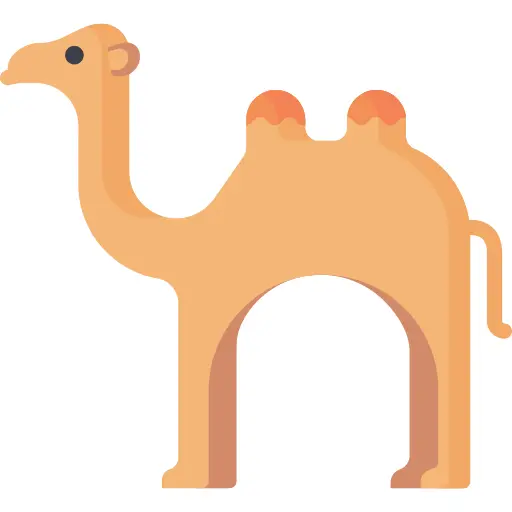 Camel
