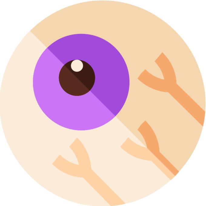Eye