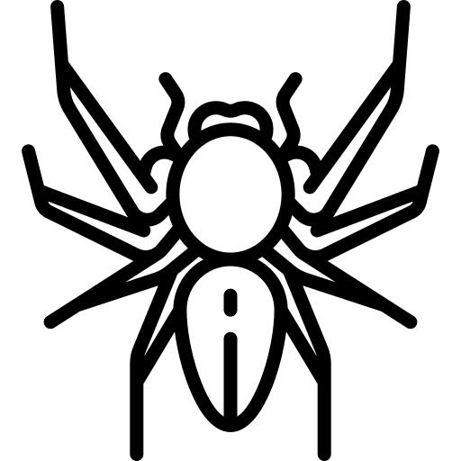 Spider